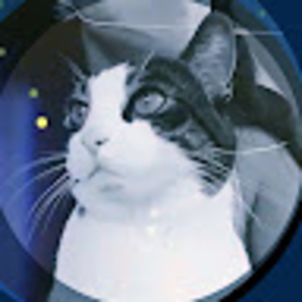 Meet your Posher, Stellerbee